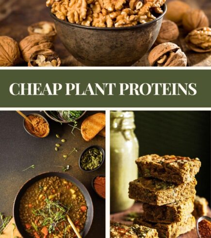 walnuts, lentil stew, and pumpkin protein bars